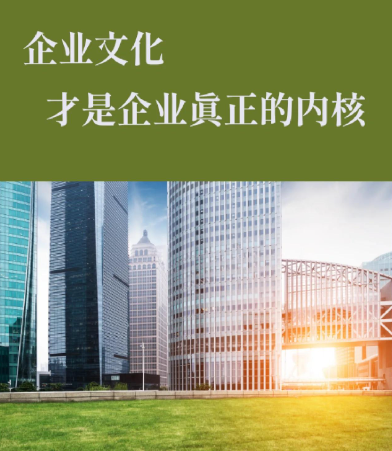 上海红莫洛网络科技有限公司企业官网定制开发流程与交付标准详解
